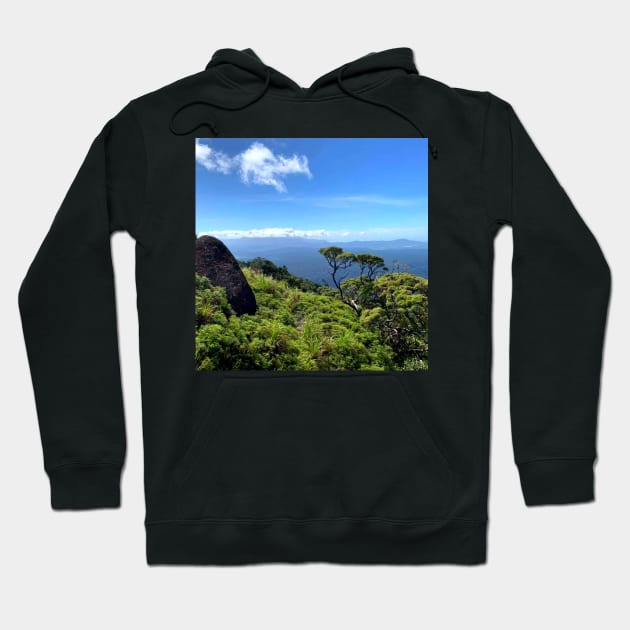 Devils Thumb View Hoodie by Felicity-K